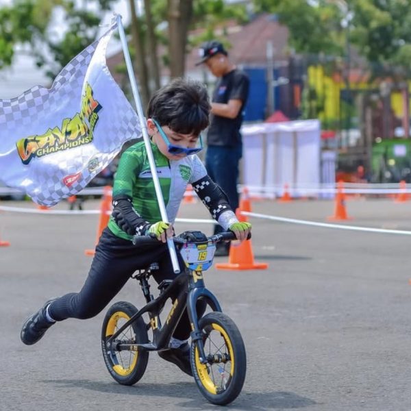Danendra Predator Pushbike