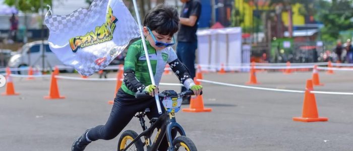 Danendra Predator Pushbike Danendra Predator Pushbike
