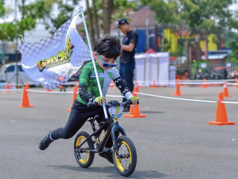 Danendra Predator Pushbike Danendra Predator Pushbike