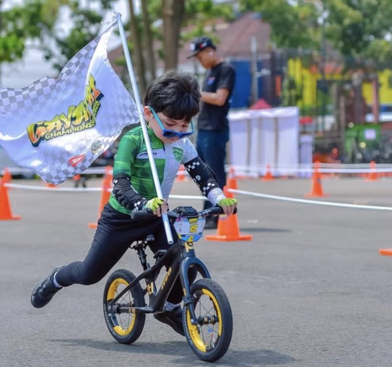 Danendra Predator Pushbike