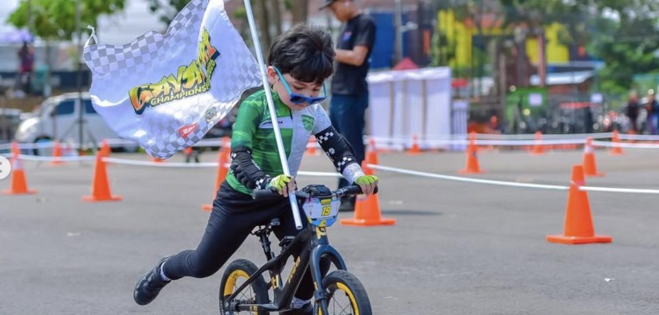 Danendra Predator Pushbike