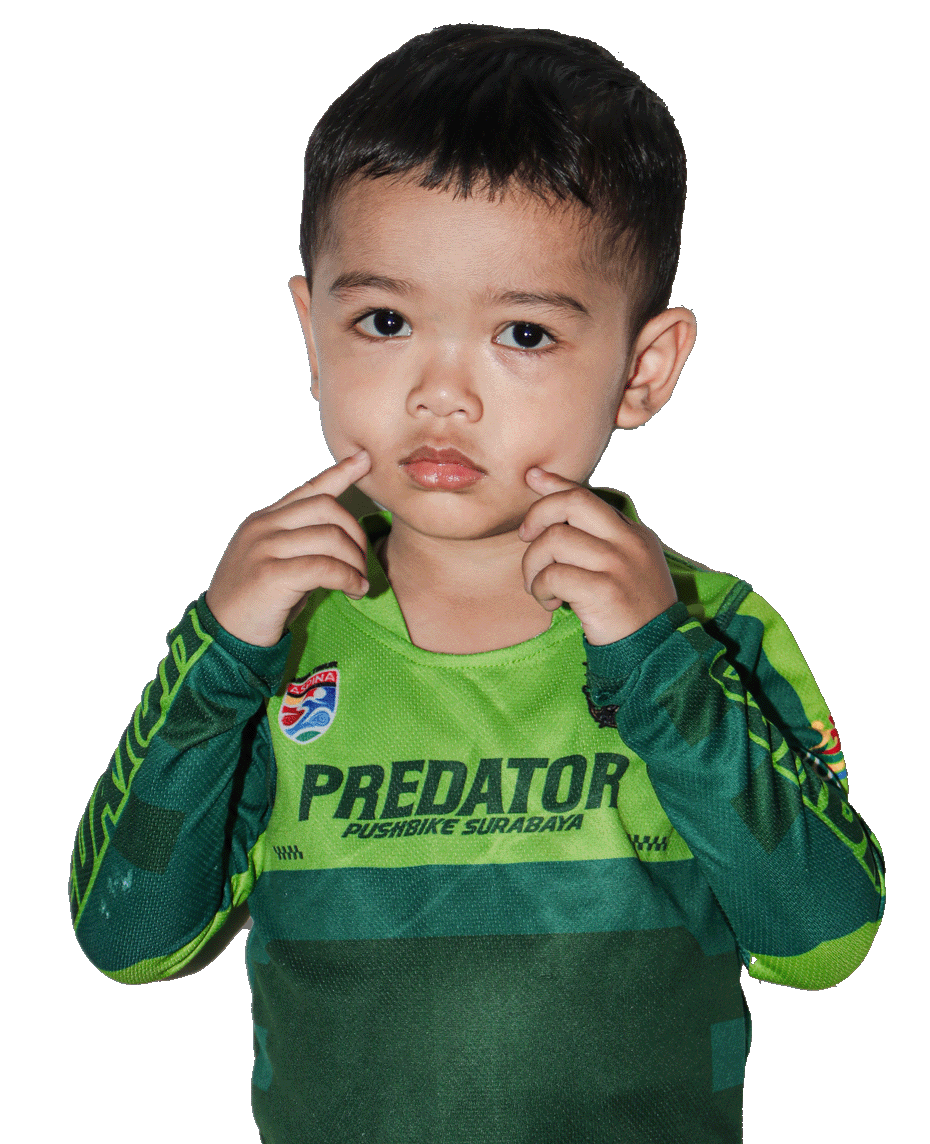 Sharga Predator Pushbike